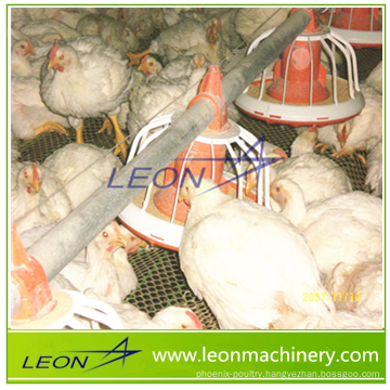 LEON chicken feeding equipments automatic broiler flooring ground feeding system